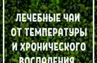 Добавила в закладки | Товары для здоровья, Здоровье, Траволечение