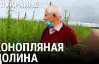 Конопляная долина | #ВУКРАИНЕ - YouTube