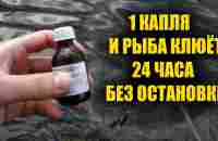 1 капля заставляет всю рыбу клевать. 95% рыбаков не знают этого - YouTube