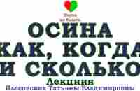 ОСИНА КОРА -||- ЭФФЕКТИВНЫЙ ПРИЁМ ОСИНЫ - YouTube