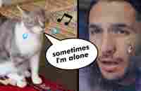 The Kiffness x Lonely Cat - Sometimes Im Alone (Singing Cat) - YouTube