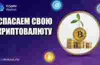 Спасаем свою криптовалюту | Где безопасно хранить криптовалюту | Blockchain | СберКасса - YouTube