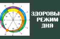 Щелочной режим. Методика Алфей 2019 - YouTube