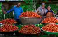 Grandmas Secret Tasty Tomato Paste Recipe | Outdoor Cooking - YouTube