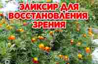 КАК СОХРАНИТЬ ЗРЕНИЕ ОТ КАТАРАКТЫ И ГЛАУКОМЫ - YouTube