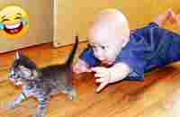 Смешные видео о детях и животных ● приколы с котами и собаками / Funny Baby Playing With Cats - YouTube