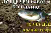 1 ЛОЖКУ НА ВЕДРО ВОДЫ И ЗЕМЛЯ КАК НОВАЯ! ПРОЛЕЙТЕ ЭТИМ ЗЕМЛЮ ДЛЯ ОБИЛЬНОГО УРОЖАЯ ВСЕХ КУЛЬТУР. - YouTube