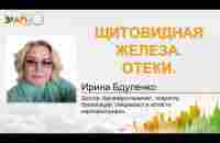 Щитовидная железа. Отёки. ПД Ирина Бдуленко. - YouTube