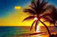 Beautiful Relaxing Peaceful Music, Calm Music 24/7, Tropical Shores By Tim Janis - YouTube