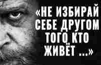 120 Гениальных Цитат, Открывающих Глаза на эту Жизнь! Мудрые слова Великих Людей - YouTube