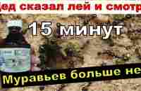 Я НЕ ВЕРИЛ, ОТ МУРАВЬЕВ ПОМОГЛО МИГОМ. Средство от муравьев. - YouTube