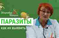 18 признаков наличия паразитов в организме | Иммунолог Гордиенко | - YouTube