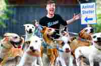 I Adopted EVERY Dog In A Dog Shelter - YouTube