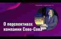 Солдатенков П. А. о перспективах компании Сово-Сова - YouTube