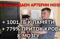 Увеличил приток крови к мозгу в 799 раз и память на 1000 ГБ. Убери спазм сосудов мозга своими руками - YouTube