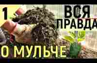 АКТИВНАЯ МУЛЬЧА КАК ПОВЫСИТЬ ПЛОДОРОДИЕ - YouTube