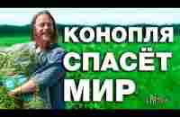 КОНОПЛЯ 2.0 - YouTube