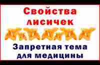 Свойства лисичек. Запретная тема для медицины - Chanterelle properties. A forbidden topic for medic. - YouTube