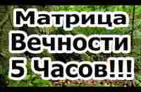 Матрица Вечности 5 Часов Исцеляющей, Восстанавливающей, Заживляющей Душу и Тело Медитации Гаряева. - YouTube