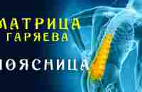 Единственная Матрица Гаряева для Поясницы ☀️ Полное Восстановление Суставов Звуком - YouTube