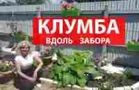 Что посадить под забором Клумба своими руками - YouTube