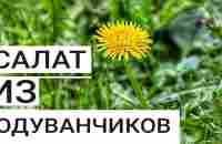 Салат из Одуванчиков. Как Приготовить Полезный Весенний Корейский Салат за 0 рублей. - YouTube