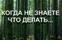 КОГДА НЕ ЗНАЕТЕ ЧТО ДЕЛАТЬ [Э. Толле, озв. Никошо] - YouTube