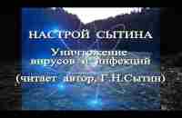 НАСТРОЙ СЫТИНА. Уничтожение вирусов и инфекций. Видео от ТаГоры - YouTube