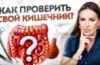 Оцени состояние своего кишечника за 10 минут. Не надо глотать трубку! - YouTube