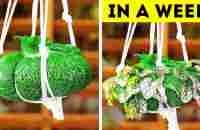 Garden Hacks 101! Simple Tips for a Thriving Garden - YouTube