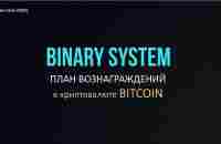 БИТКОИНОВАЯ СКВАЖИНА. План вознаграждений Binary Sistem! - YouTube