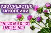 ПЬЮ И ОЖИВАЮ! КОПЕЕЧНОЕ СРЕДСТВО БЫСТРО ВОССТАНОВИТ ПЕЧЕНЬ! - YouTube