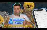 Royal Q. Zalizetski for partner. - YouTube