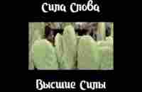 Пётр Гаряев. СИЛА слова. ВЫСШИЕ силы#shorts - YouTube