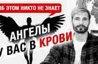 ЭТО МЕНЯЕТ ВАШУ КРОВЬ КАЖДЫЙ ДЕНЬ! Сергей Финько - YouTube