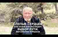 Слепые сердцем или зачем вам интуиция? Выбор пути. М.С. Норбеков - YouTube