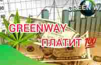 Greenway.Как инвестировать,заработать,выводить? - YouTube