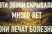 Уйдут все болезни! Вы сразу ощутите изменения в организме. - YouTube