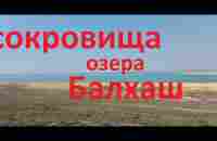 Путешествие на озеро Балхаш. Поиск монет и знакомство с природой Прибалхашья. - YouTube