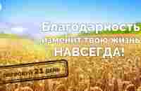 Утренняя медитация благодарности: мощная мотивация на весь день + высокие вибрации - YouTube