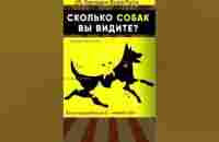 Сколько собак вы видите? Тест для внимательных #shorts - YouTube