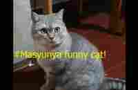 #Masyunya.Plays with a rubber band. Funny! - YouTube