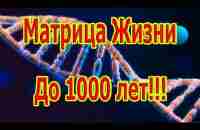 Самая Редкая и Мощная Матрица Жизнь до 1000 Лет!!! - YouTube