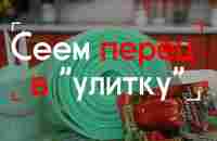 Сеем перец в улитку. - YouTube