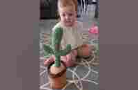 Dancing cactus baby reactions || funny baby vs dancing cactus || part8 #shorts - YouTube