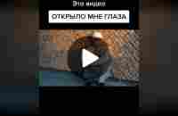 Никогда не сдавайся. #мотивация #рекомендации | TikTok