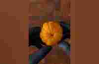 03:09:2023 Orange Chocolate - YouTube