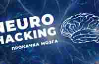 Магазин грибов «NeuroHack» – Telegraph