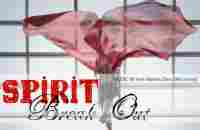 Praise & Worship Flags Dance Music spirit break out By Kim Walker Flagging ft Claire CALLED TO FLAG - YouTube