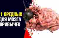 11 самых вредных привычек для мозга